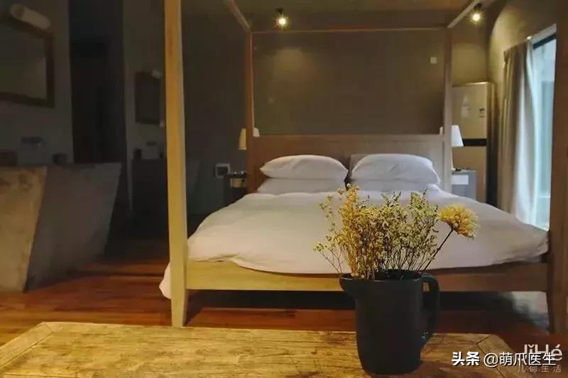 带宠物住宿酒店,带宠旅行酒店