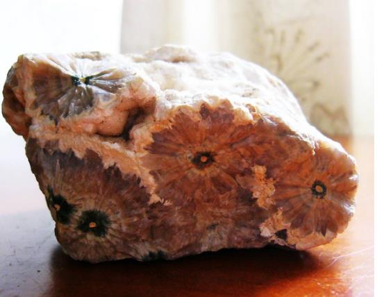 海洋珊瑚是不是危险的,海洋酸化对生态系统的影响