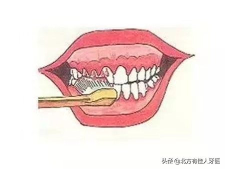 孕期为什么刷牙就恶心想吐,怀孕后刷牙牙龈出血啥原因