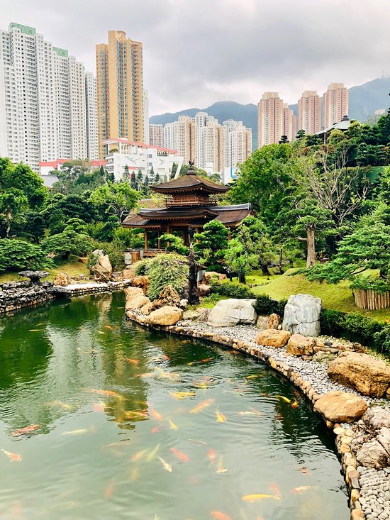 香港志莲净苑地图,香港志莲净苑好玩吗