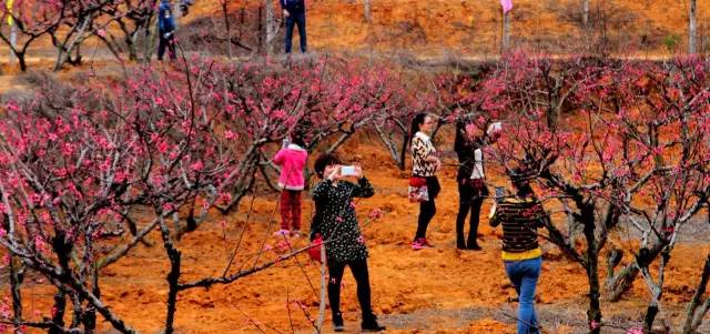 美丽的五华县,五华我可爱的家乡