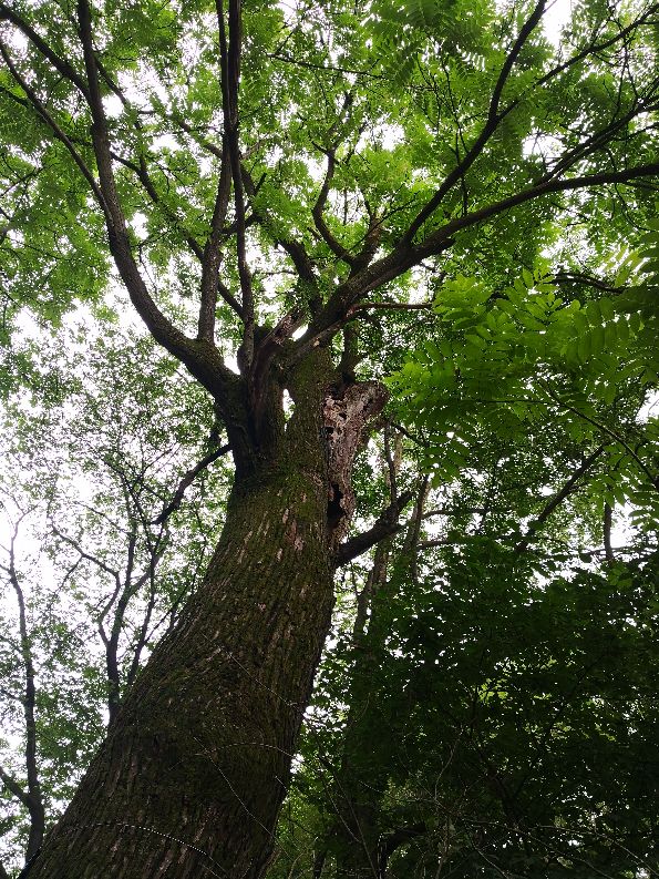 徒步终南山南五台,秦岭终南山南五台