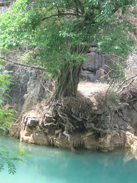 我的教育梦短片,我的教育初衷