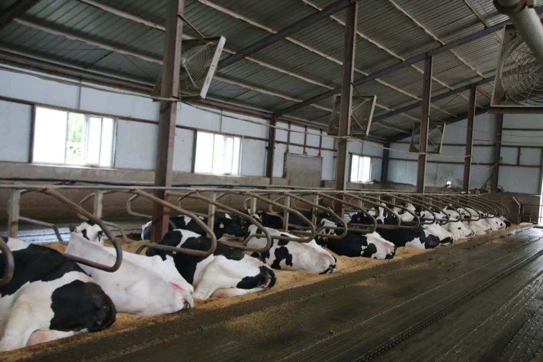 近4000人次收看——无乳链球菌的危害及清除计划的实施要点