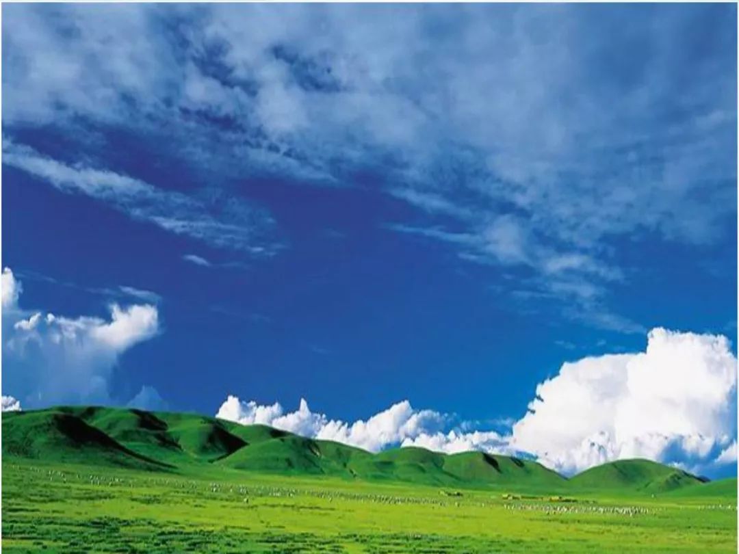 紫鑫药业董事长郭春林,郭春林紫鑫药业