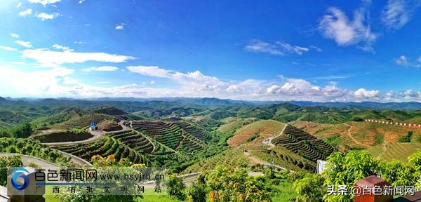 田阳区上半年实现地区生产总值,田阳gdp总量