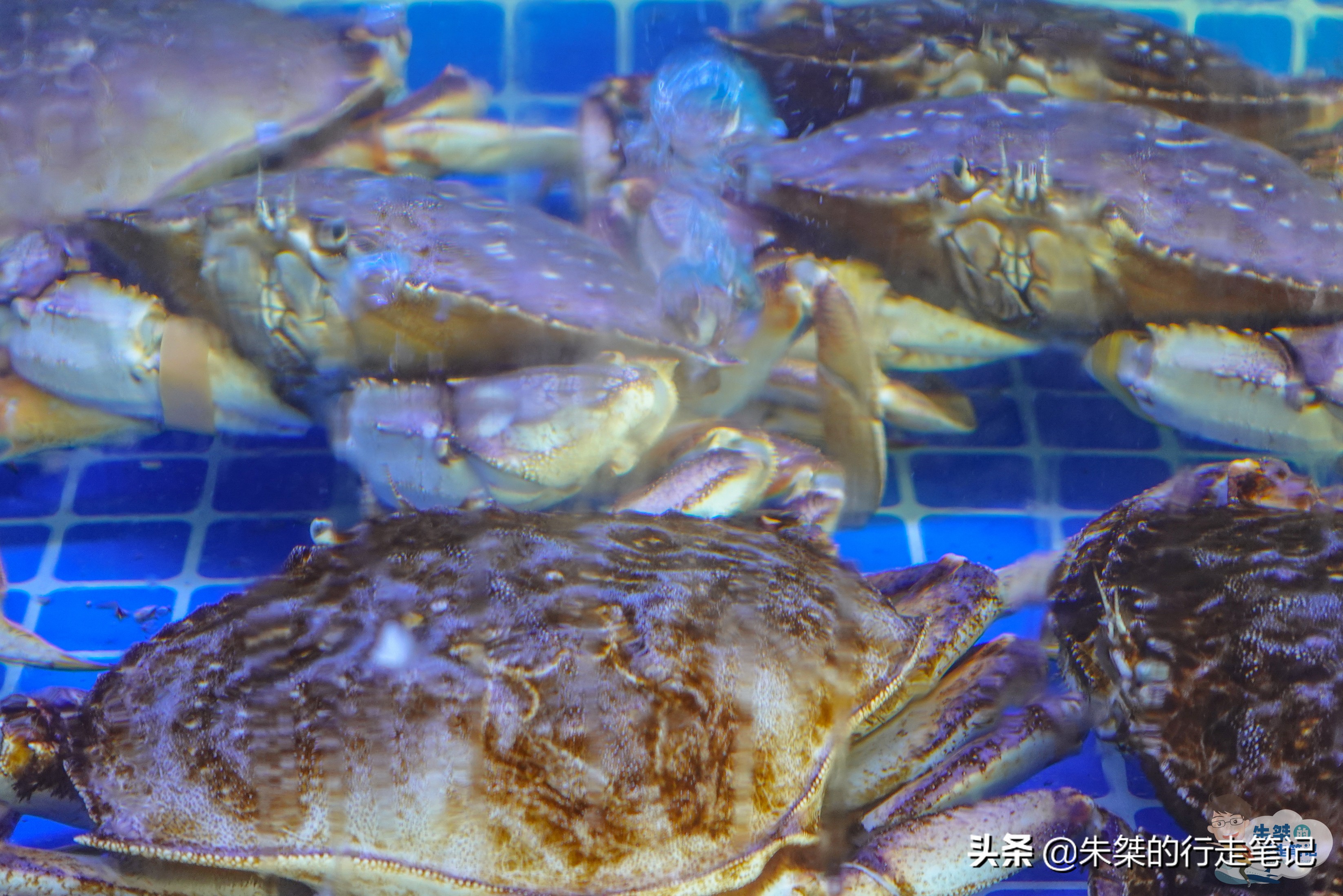 宁波超现代菜场,宁波最高档菜场