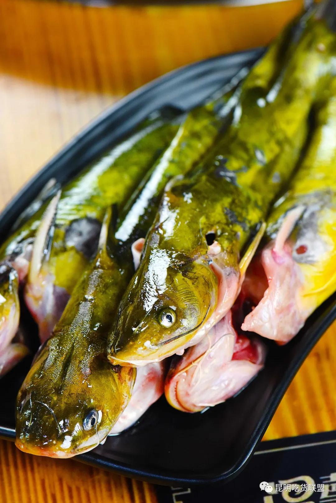 自助涮羊肉火锅昆明,昆明涮羊肉自助美食