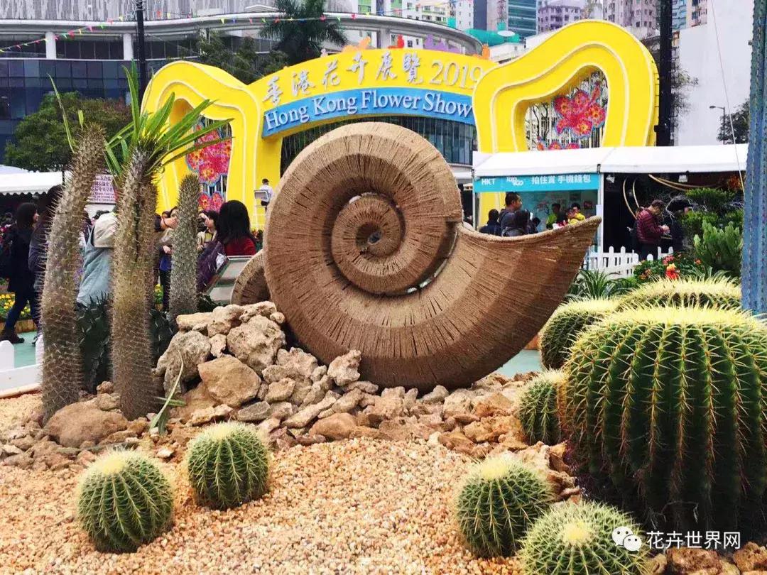 香港花卉艺术展,共赴盛会活动