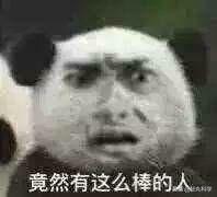 地球最强生物水熊坠落月球或幸存,地球最强的生物降临月球