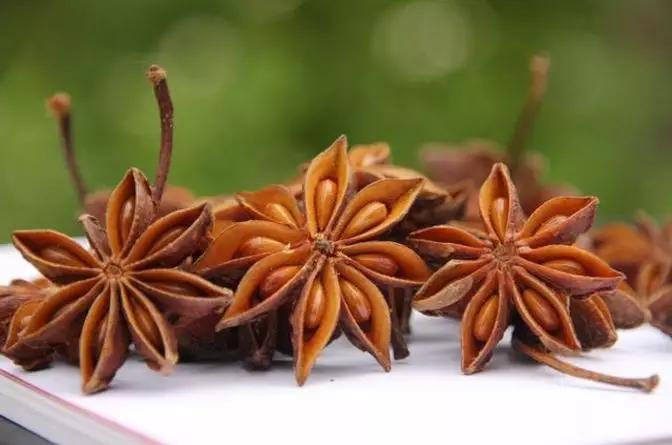 香料植物与成品解析,香料植物有哪几种