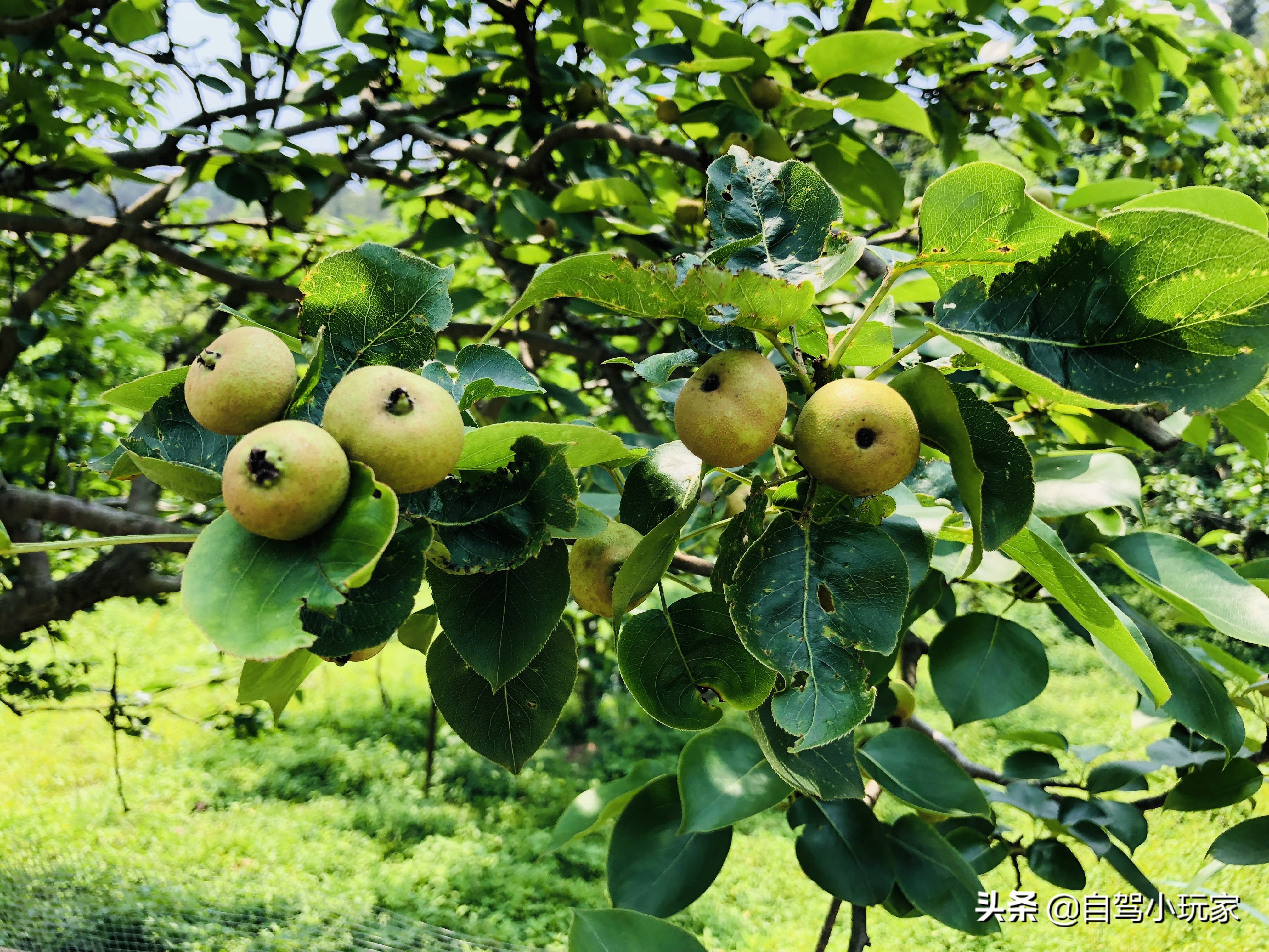 万绿湖八大秘境,广东万绿湖在全国有多出名