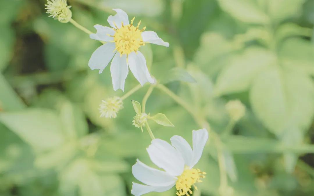 动动手指防痴呆,读读这些句子预防老年痴呆