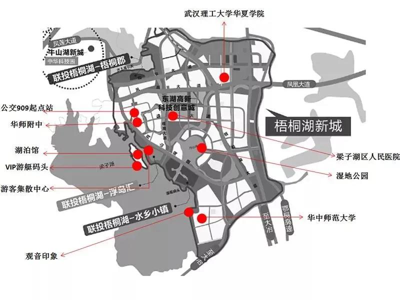 激活新区,武汉的新区能发展起来吗