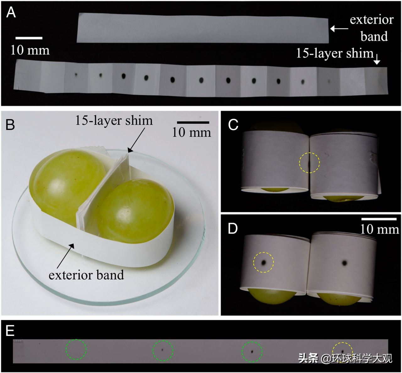 微波炉烤葡萄爆炸是真的吗,微波炉加热葡萄为何冒出火花