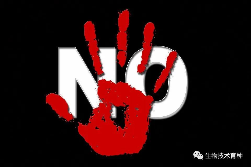 出口欧洲米制品被退货,多国大米禁止出口的原因