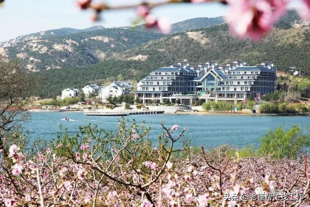 五征厂招聘,2023五征集团招聘