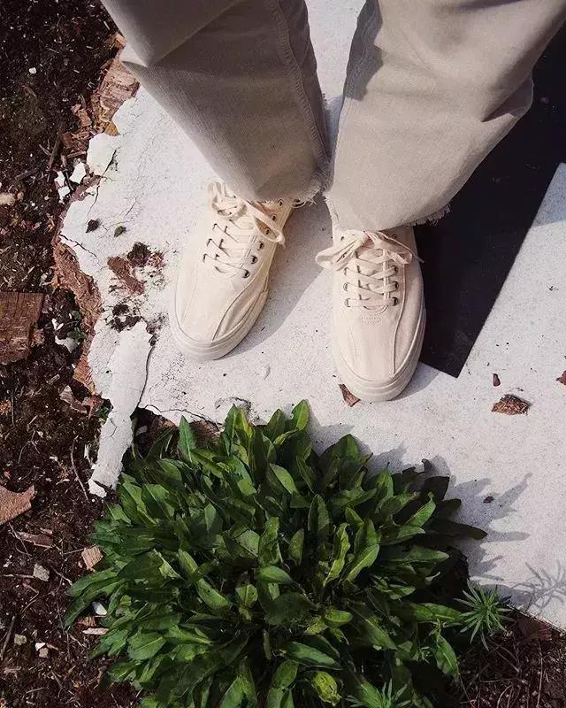 匡威经典款vans,vans匡威经典款