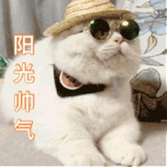 国家网信办处置违法账号,国家网信办违法查处