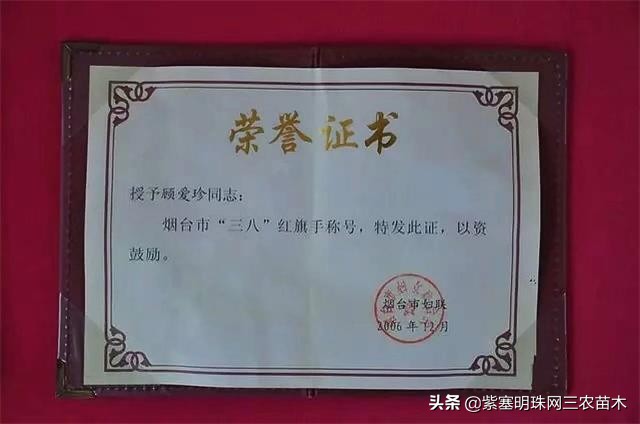 长岛值得去的渔家乐,长岛美丽的海岛