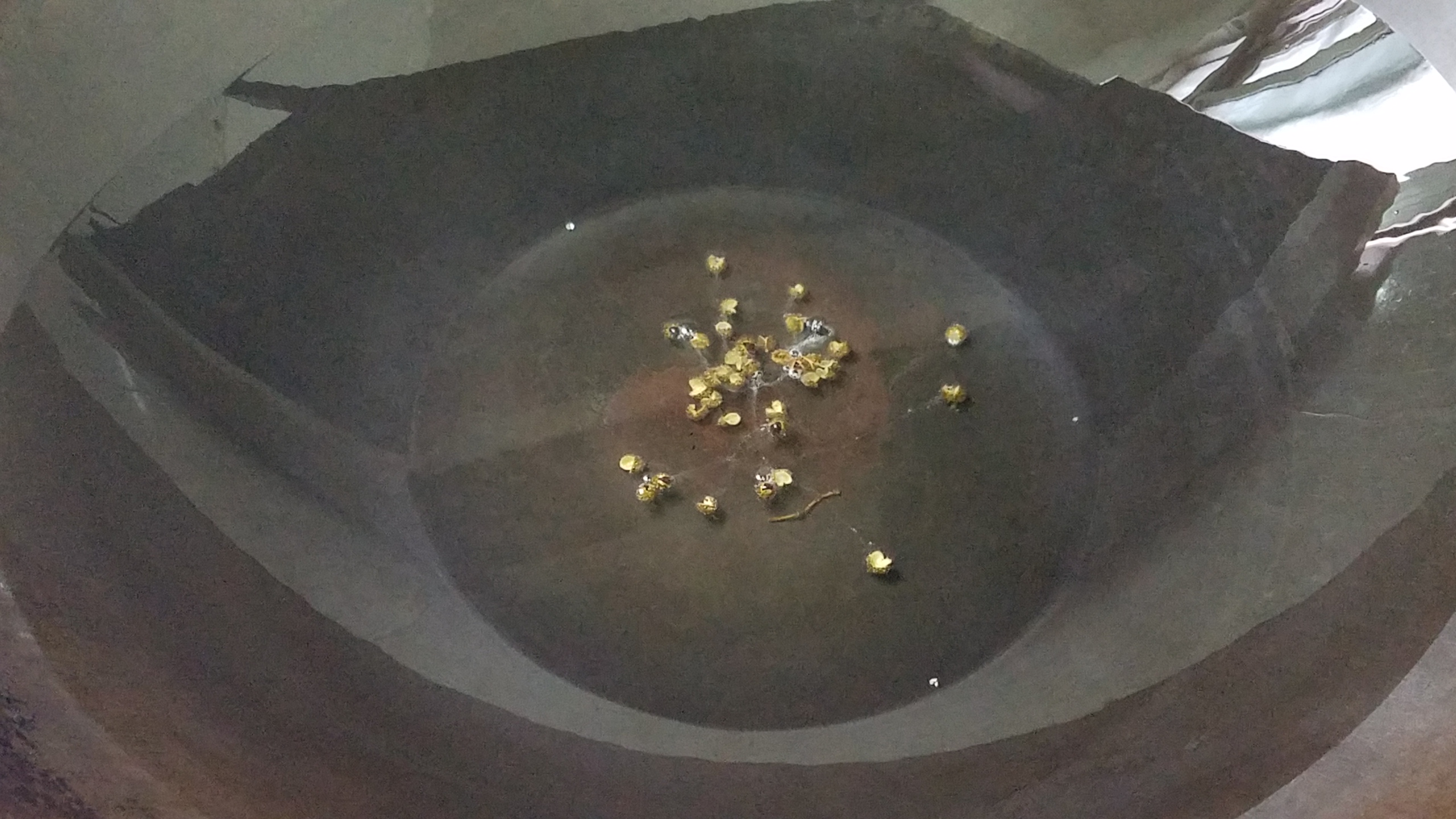 包菜怎样做好吃家常做法,包菜怎么做好吃又简单方便呢