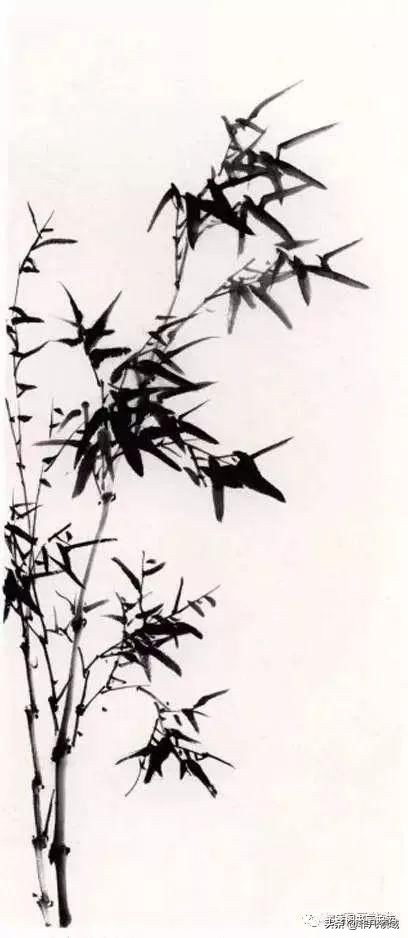 国画教程竹子的写意画法,国画写意竹子画法步骤