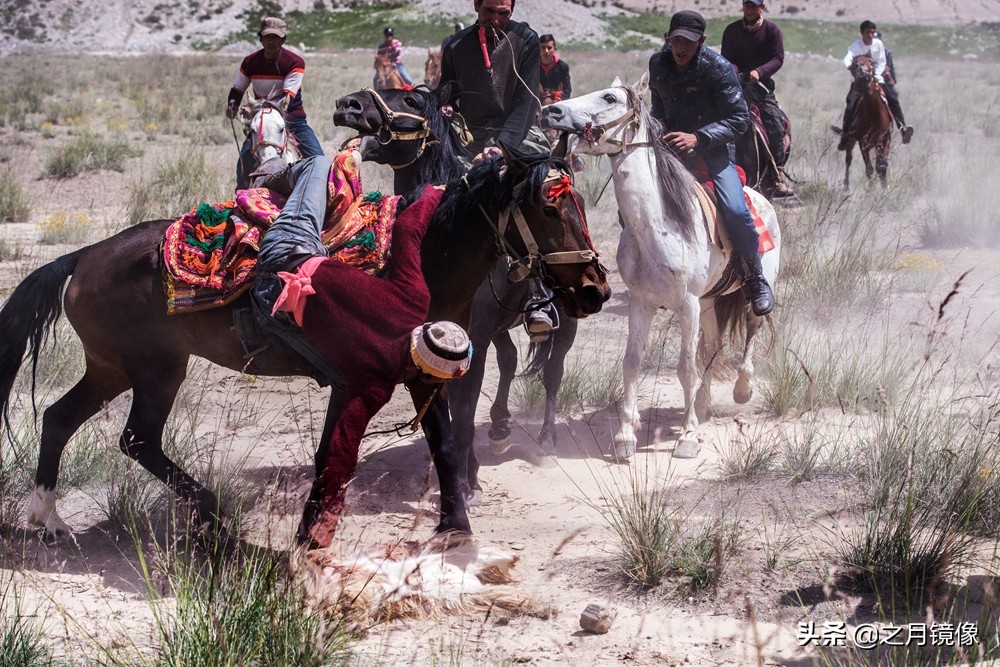 铁血雄鹰全剧,铁血雄鹰全文阅读
