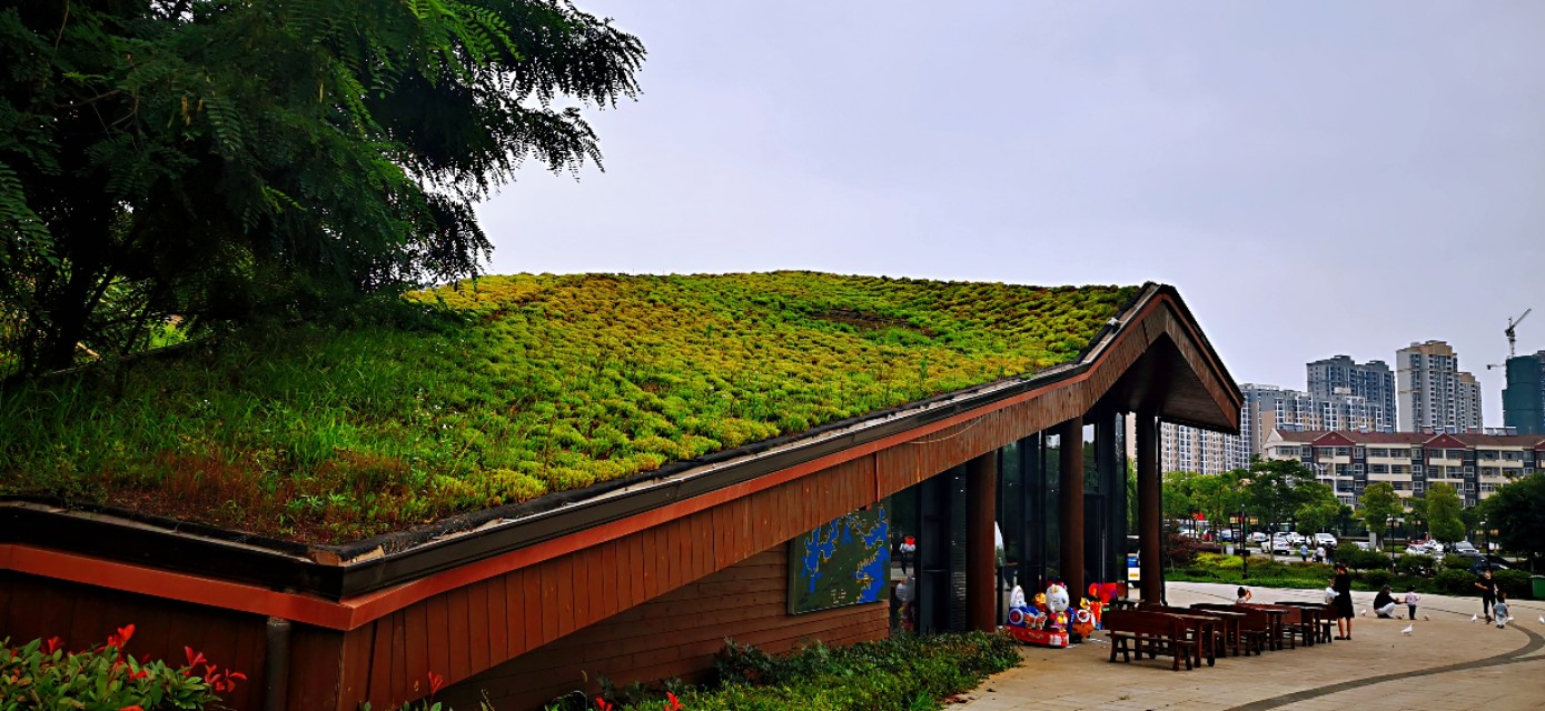 后官湖湿地公园环游,后官湖湿地公园游后感