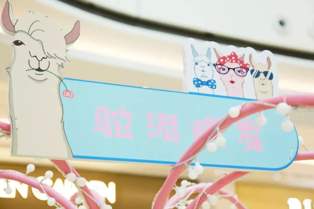 少女心爆炸,千只萌驼空降大坂田,领10000份羊驼潮趣礼品