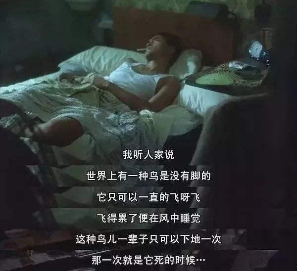 他是无脚的飞鸟，也是“永恒少年”