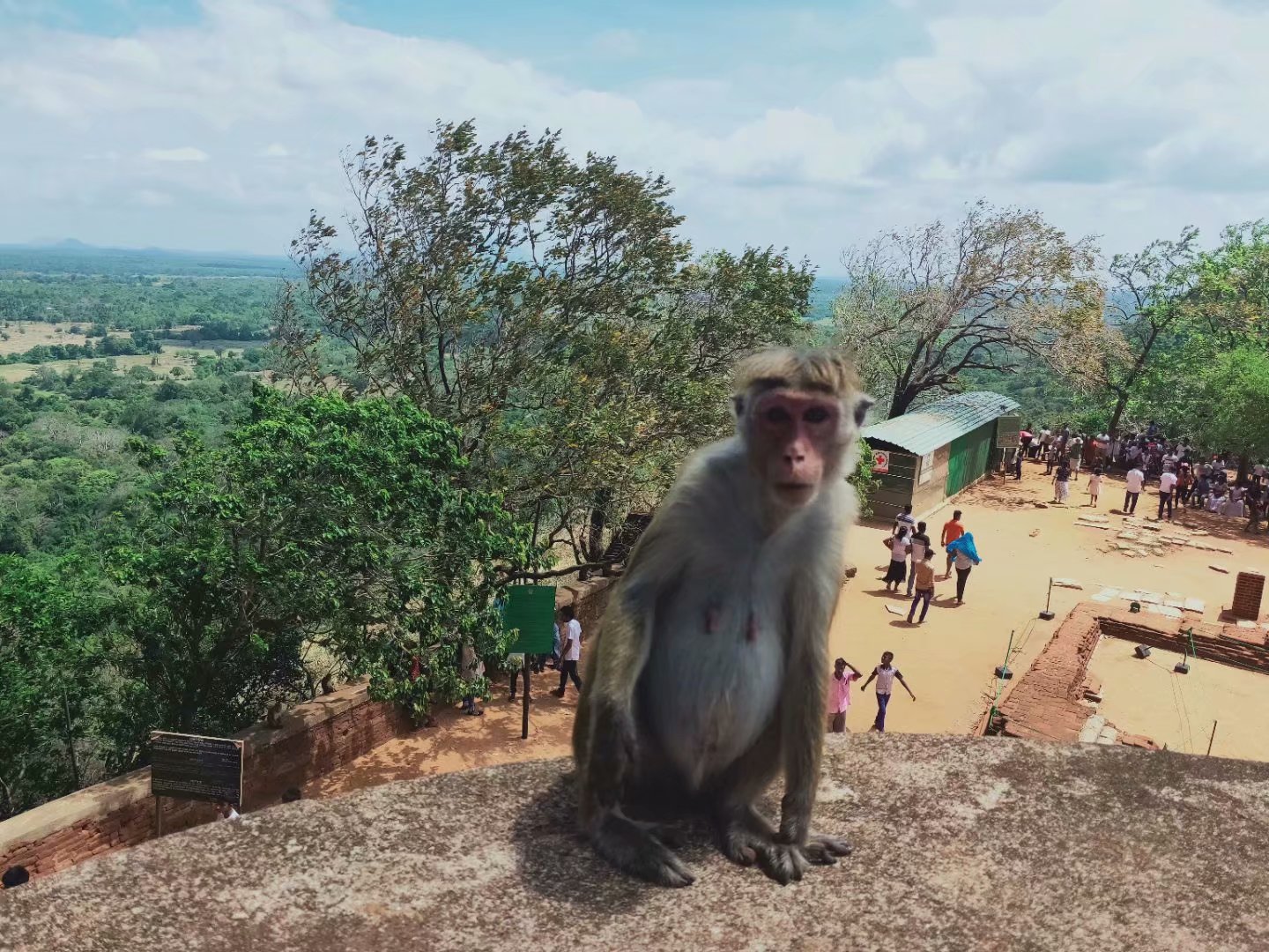 一生必去一次的神奇国度，榴莲白菜价，还有千与千寻里的海上火车
