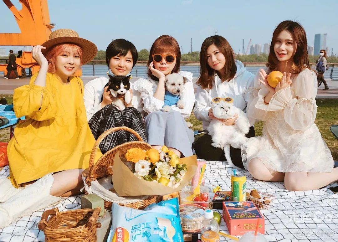 2022年上海遛狗圣地,2021上海遛狗圣地