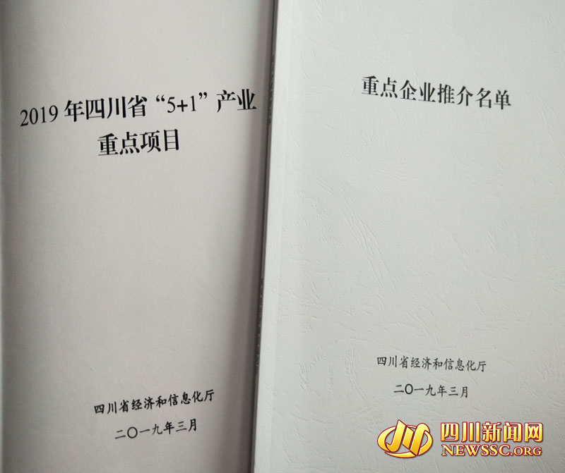四川投资600个亿重点项目集中开工,四川重点项目犍为县项目名单