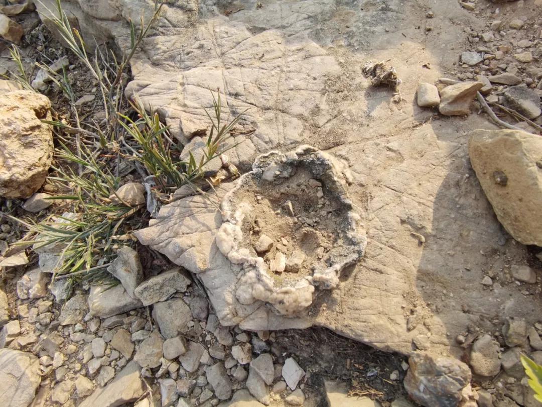 济南张家界自驾游路线推荐攻略,藏在济南市区的世外桃源