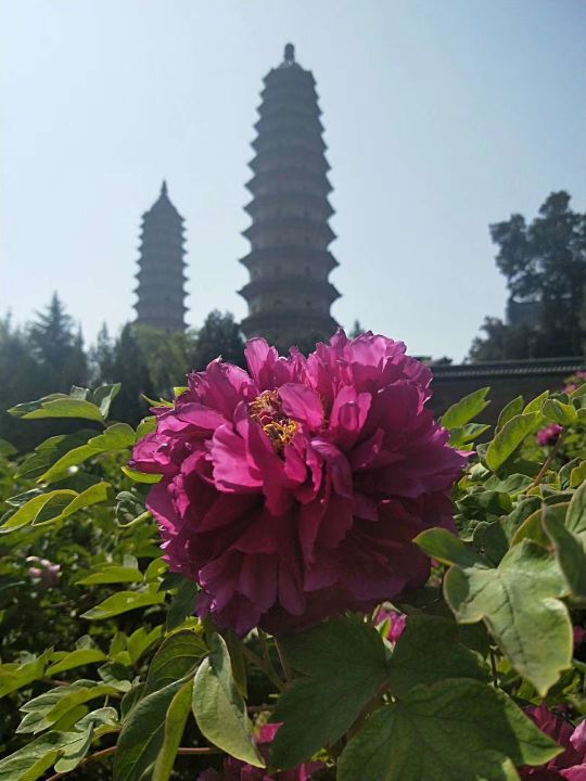 退休的生活丰富多彩幸福快乐,退休生活开启新的快乐生活