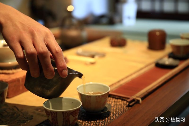 茶中回味甘甜的成分,茶生津与回甘的区别