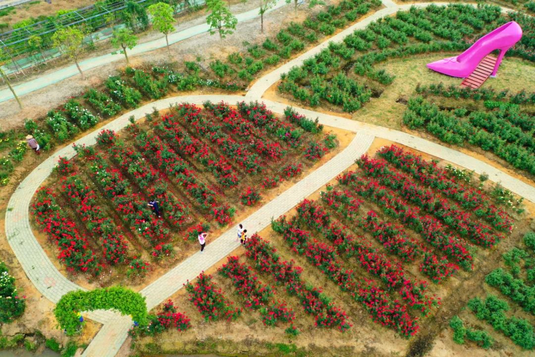 斗门十大旅游景点,斗门有哪些旅游景点值得去