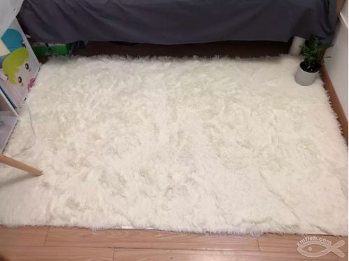 90后花3000元爆改出租房,厦门房屋出租改造