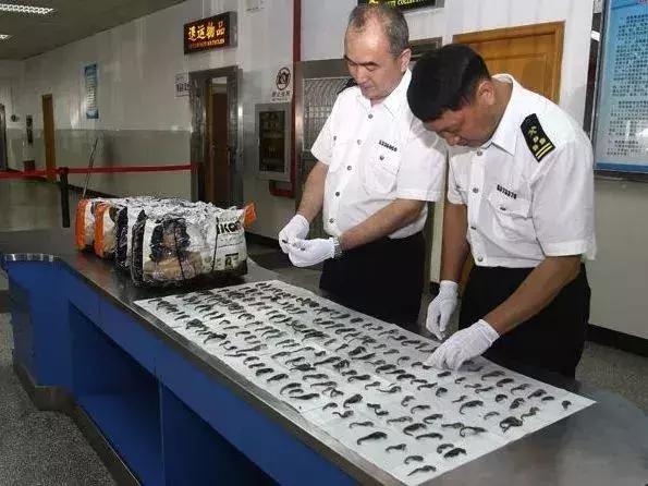 香港今年哪天上调印花税,香港宣布调整印花税
