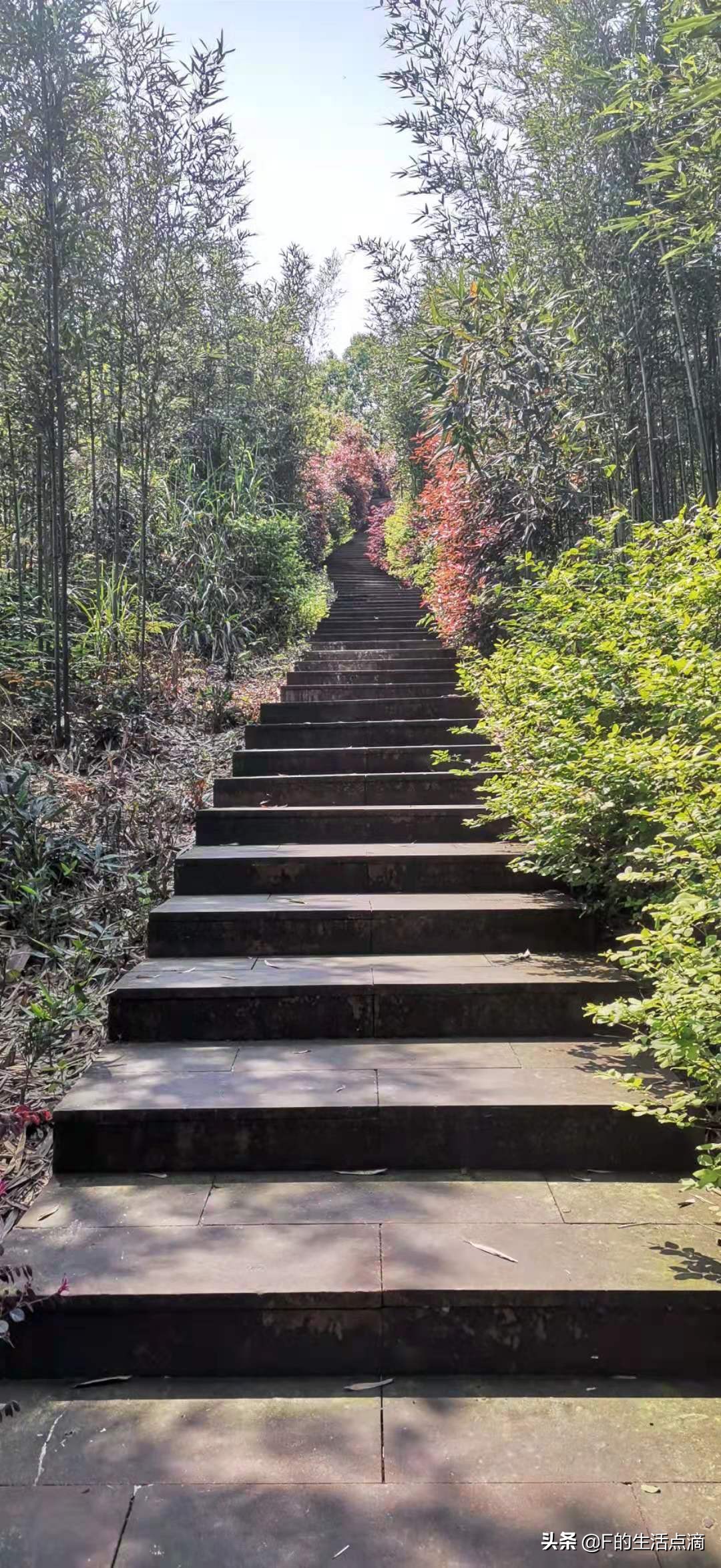 四川泸州是个什么样的地方,四川泸州环境最好的县城