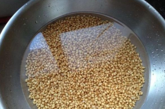 鲫鱼饵小药,夏季鲫鱼饵小药