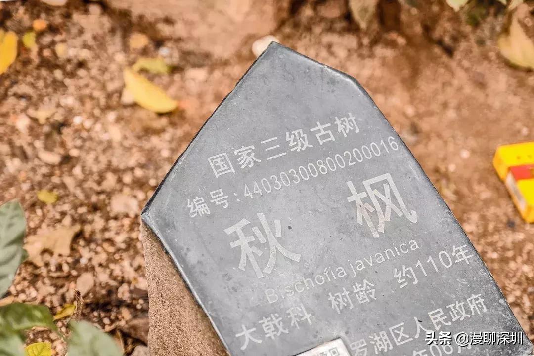 深圳空气中氡含量全国第一,深圳市负氧离子大概是多少