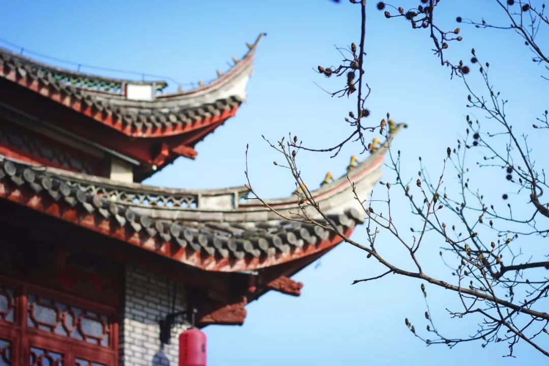 腹有诗书气自华精选200个千古名句,腹有诗书气自华200句值得背诵