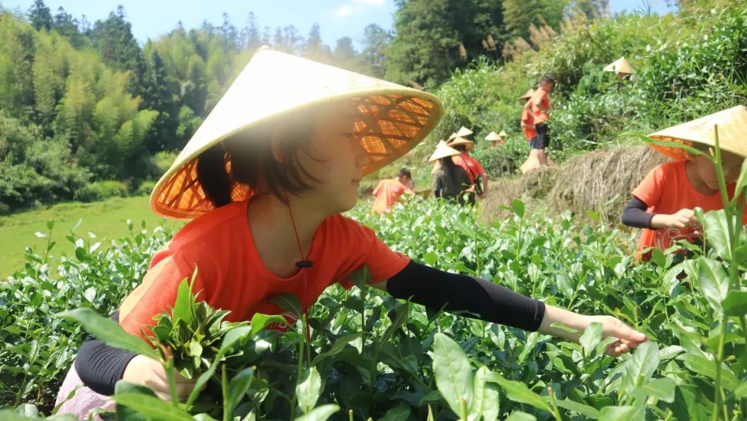 厦门闽南文化研学营,厦门闽南文化研学