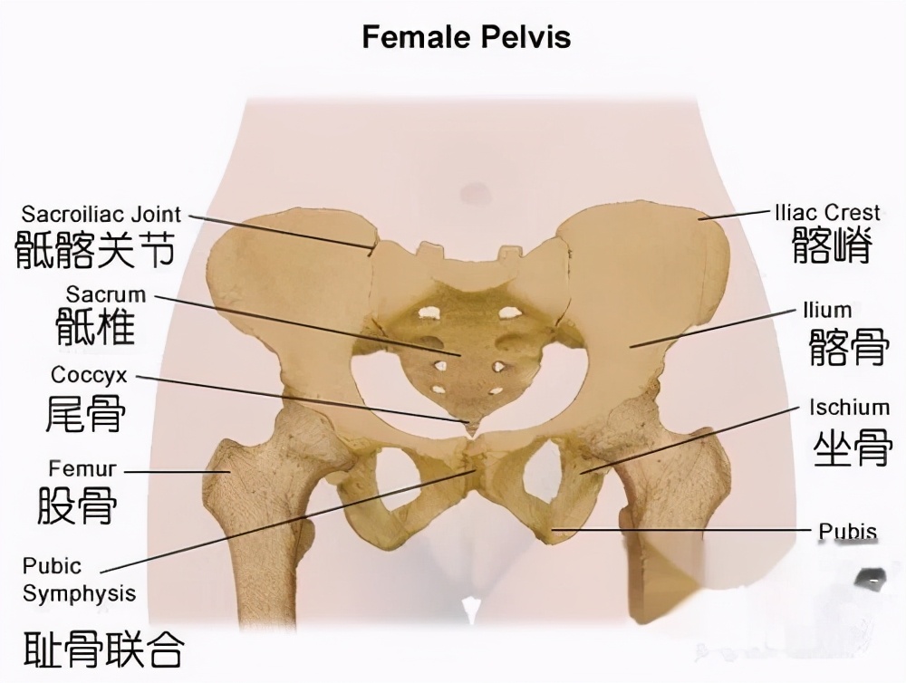 产后妈妈如何找回自信,产后修复好的月经来得快吗