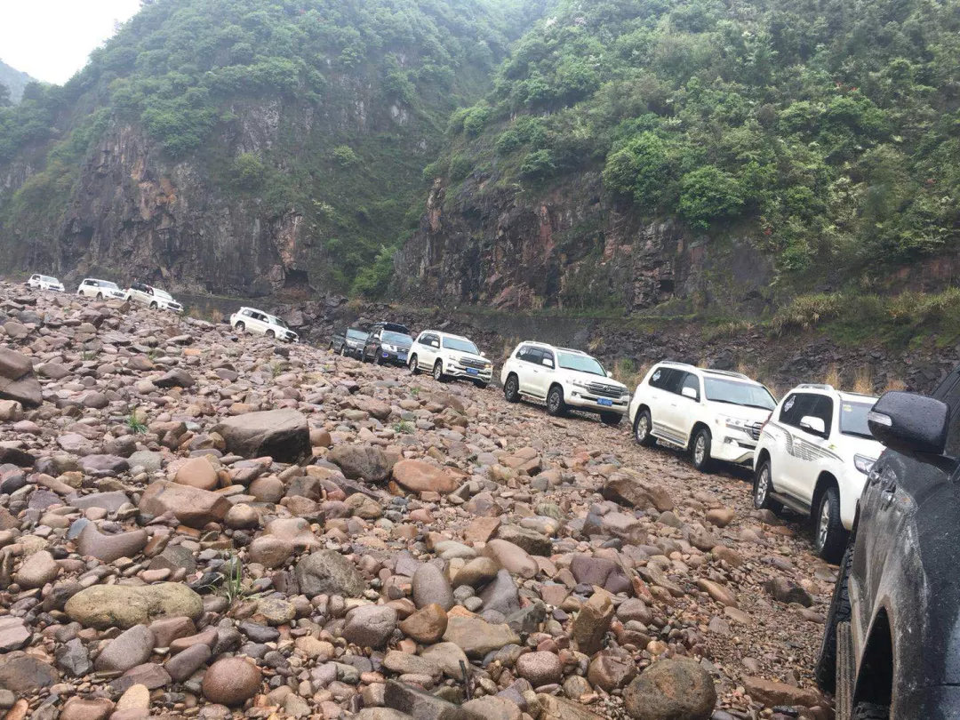 鐖卞績鍔╁鍦嗘ⅵ琛屽姩,鍏泭鐖卞績鍔╁娲诲姩