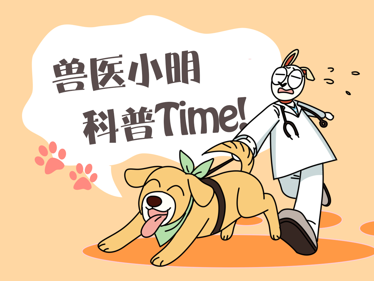 从网上买猫咪回来猫咪有哪些状况,在网上买猫咪猫咪很反常怎么办