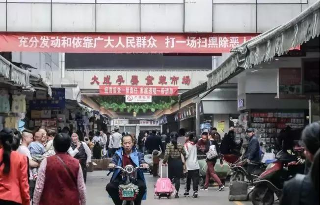 荷花池复原,荷花池变身素材