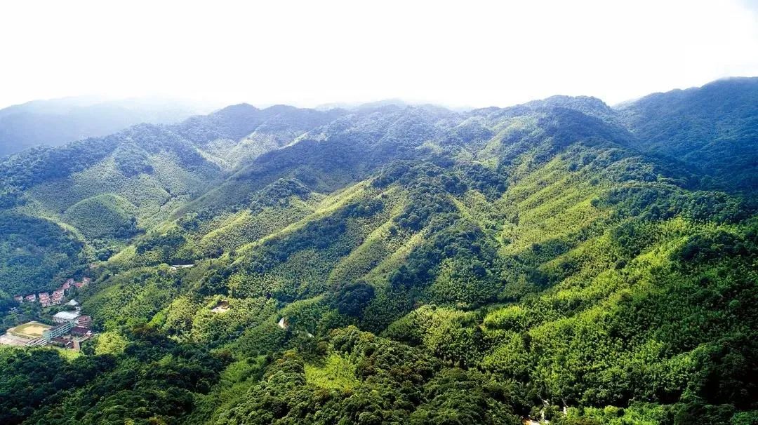 惠州一知名景区恢复开放,惠州这些场所有序恢复开放