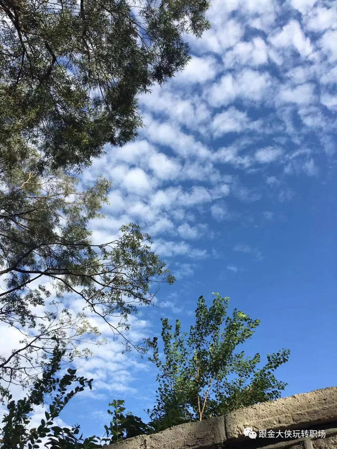 危机公关案例：杏子林叛乱乔峰过了第一关，为何过不了第二关贰